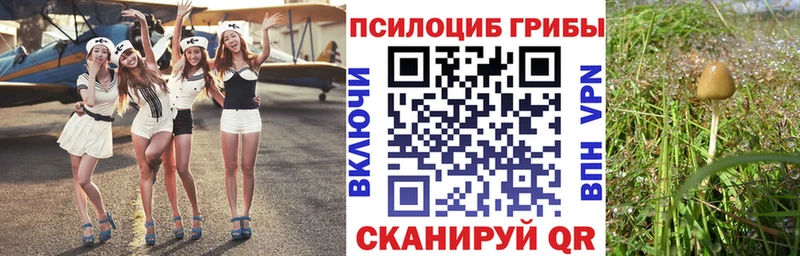 Галлюциногенные грибы Psilocybe  Нижние Серги 